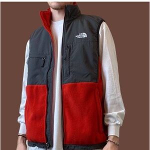 The north face vest
